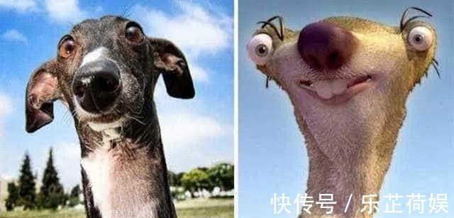 希德|爆笑动漫二次元vs现实,狮子王真人版成精了,最后一个你退群吧