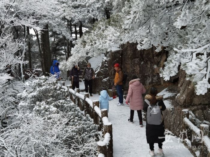 黄山风景区|黄山风景区雪景初现！降雪仍在持续