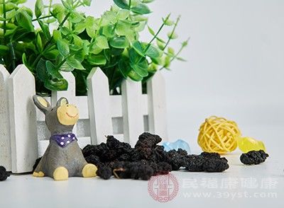 水果|桑葚的功效 常吃这种水果能够为身体补血