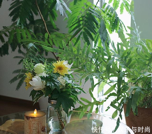 小两口之家,全屋布满绿植鲜花,把生活过成了诗,太美太治愈了!