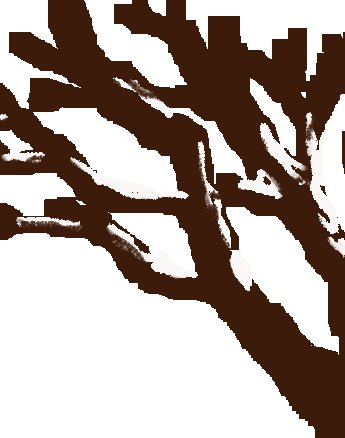  遗产公约|【非遗时间】非物质文化遗产保护的“中国经验”