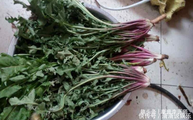 春天要养生,建议吃的食物,清热解毒,凉血消肿,气色更好