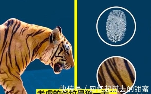 关于这个世界12个有趣的冷知识,可能对于大多数人并不知晓