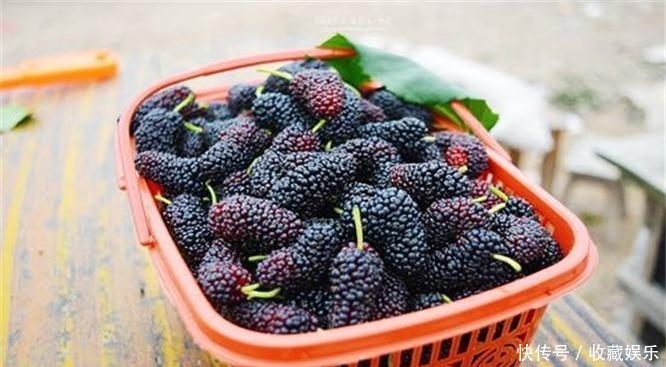 适合女性吃的食物,美容养颜,延缓衰老,令肌肤保持光泽美丽