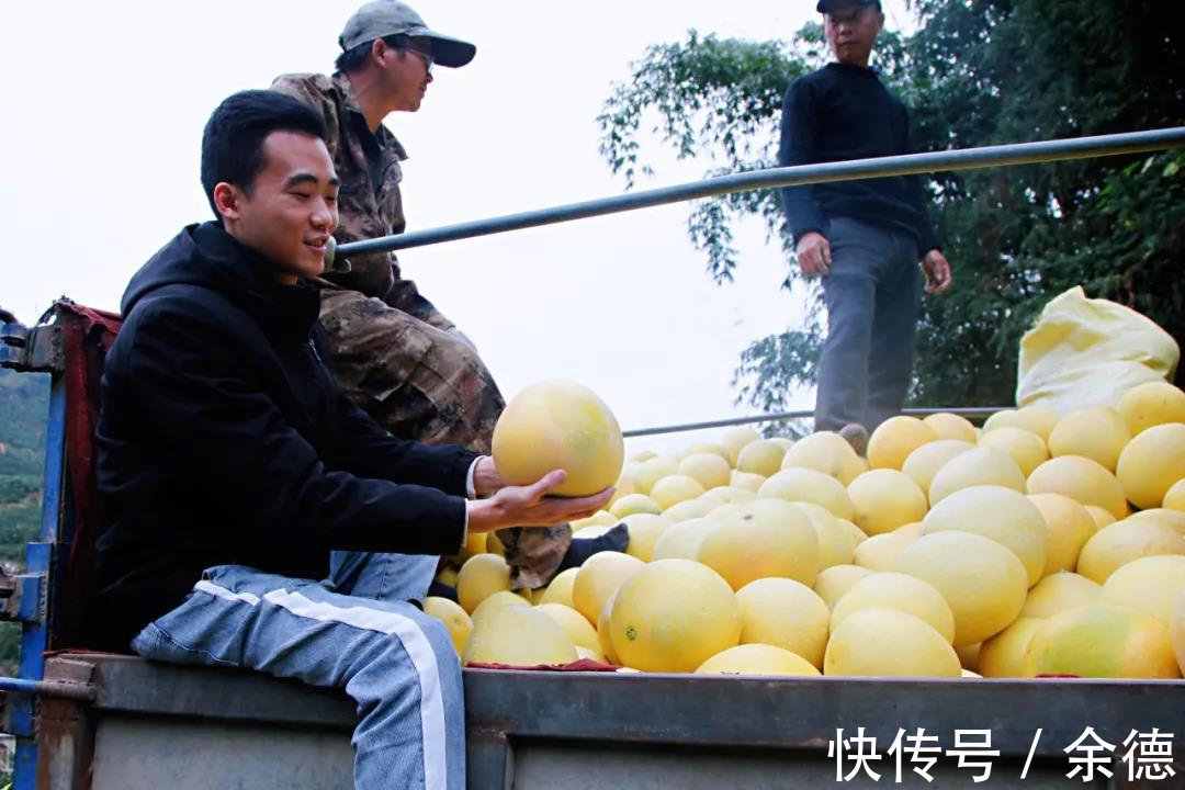 新农人|新青年为何都爱“拼”?