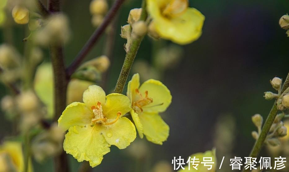 柴米油盐|人这一生,拼到最后,无非就为一个字