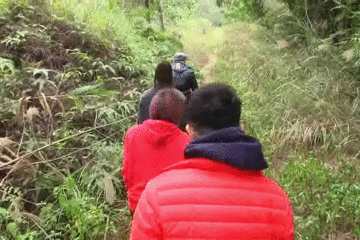 美食｜几位主持人齐齐抬竹子，难道要改行做木工？