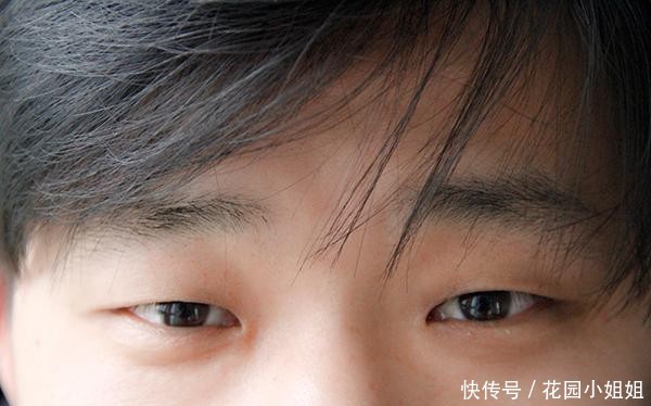 变强|养肝“王者”被发现,不是枸杞和蒲公英,坚持吃,肝慢慢变强