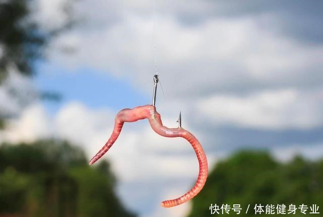 基础|野钓用蚯蚓如何调漂一般思路是基础,还要考虑这2种影响因素