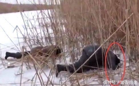 农民不畏寒冷,趴在厚厚的冰面上10小时,为了能吃得上鱼肉!