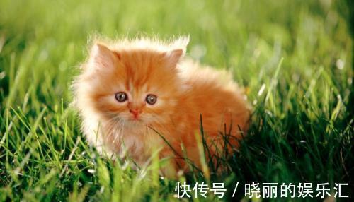 |幽默笑话:读书时候,去军训同学们都害怕站军姿,天气已经很热了