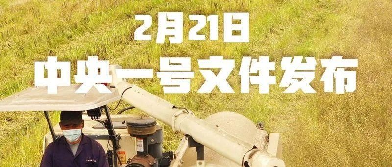 快收藏！230个常见易错字词，很多人写不对…...