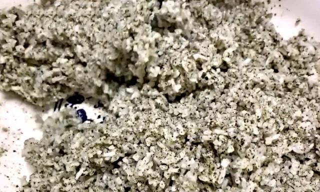 在家|秋天,想吃粢米糕不要出去买,教你在家做,外酥里糯,好吃零添加