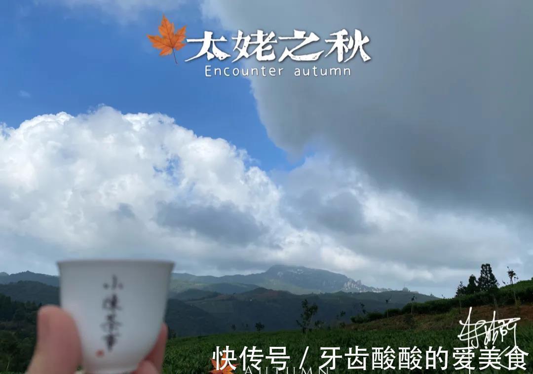 秋茶&春茶、夏茶、秋茶、冬茶、一年中哪个季节的茶好?一次性说清楚