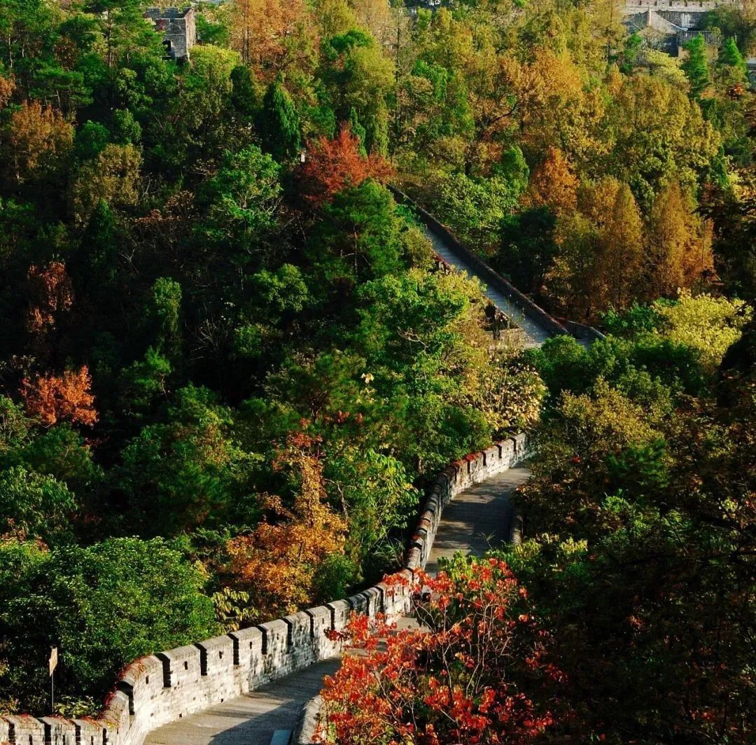 红叶|江南长城的景色，从来不让人失望！