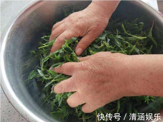 蛋饼丝|此野菜是痛风的“死对头”,越吃眼睛越明亮,老少皆宜,营养美味