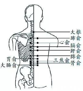 湿疹|脾胃好不好，脸上见分晓！老中医教你来调养：脾脏好，脸才漂亮！