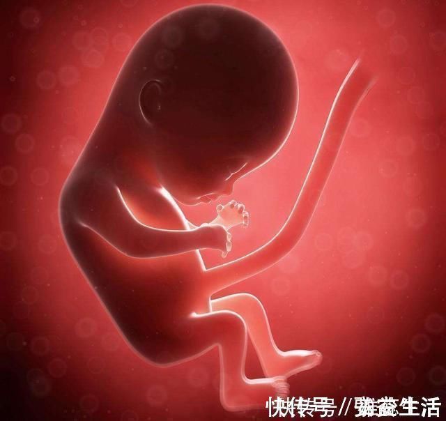 孕妇|怀孕多吃鱼娃更聪明?三种鱼不建议孕妈吃,否则坑的是肚子里的娃