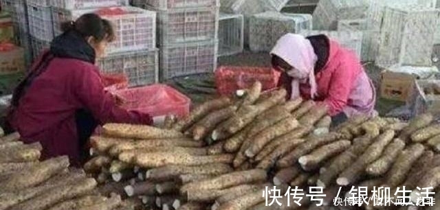 良心菜贩子的建议：要买到好山药，这3种不要碰，千万别浪费钱