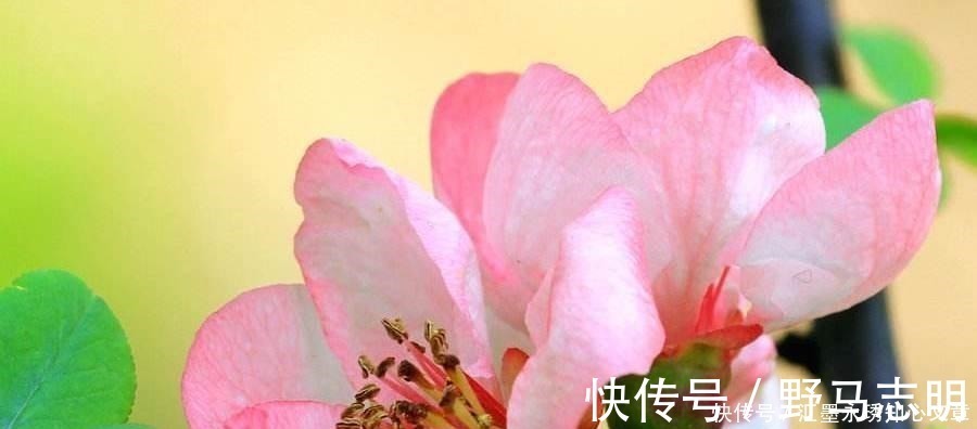 大彻大悟!词人暮年回首,洗尽铅华,写下一首千古绝唱,给人大彻大悟之感