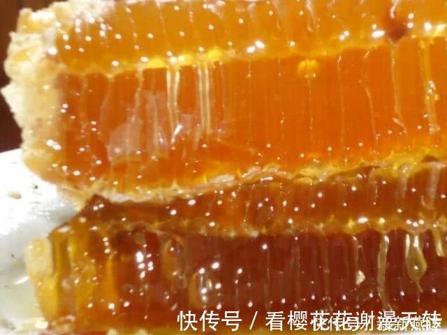 胎儿|孕期，孕妈要可劲儿吃4物，或会促进胎儿的智力发育，还能安胎