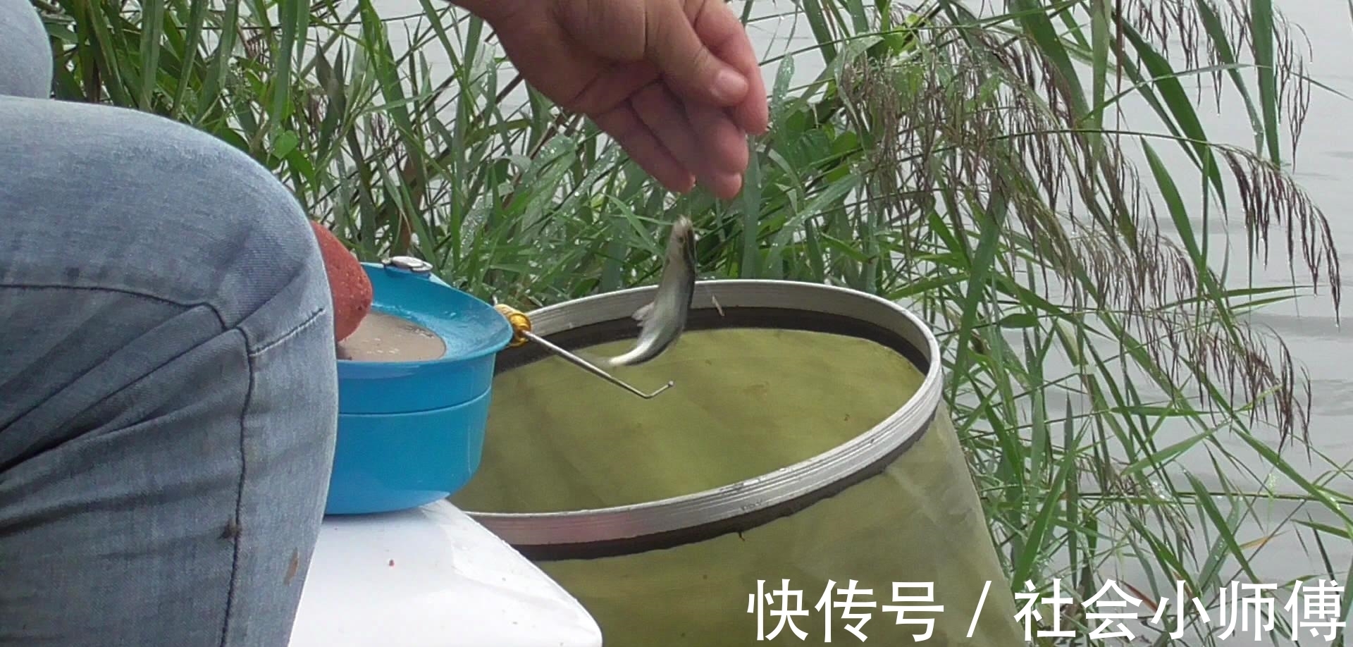 破坏|为了几条便宜鱼,硬生生把自己送进了班房,钓鱼人的天堂遭破坏