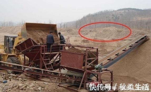 百科|工地上的这“2物”,是养花的宝贝,随手捡点回家,营养土不用买!