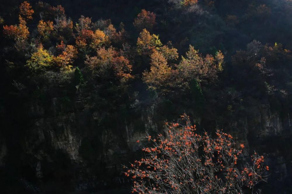 白陉 太行山上的茶马道