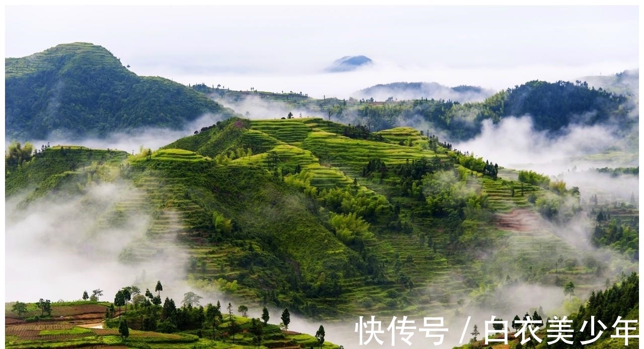 生肖|8月9日-8月31日这三生肖，财运最旺，能够迎来人生中的巅峰