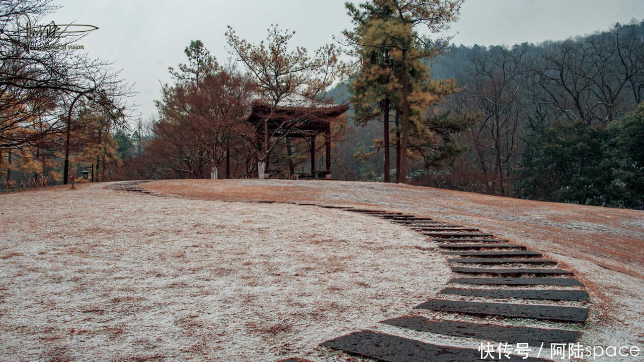 杭州的初雪，总是来得那么突然，使美景更添诗意