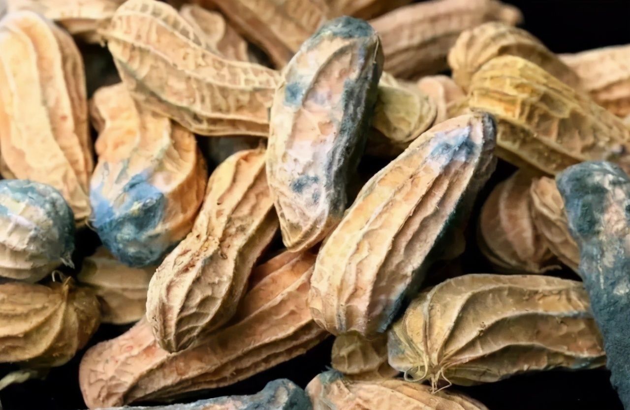 食物|骨质疏松不可以吃鸡蛋骨科大夫要想骨头好,3种食物尽量少吃