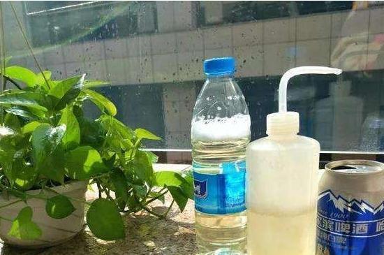 想要绿萝长得好,只需浇5种水,不施肥就能轻松长爆盆