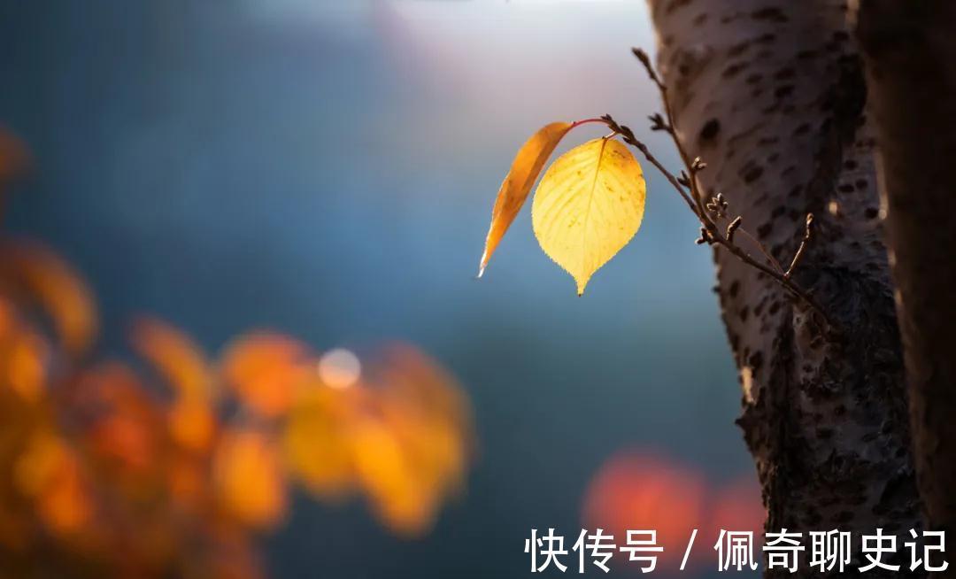 林清玄&人间有味是清欢,苏轼最具滋味的词风靡全网,被林清玄借用