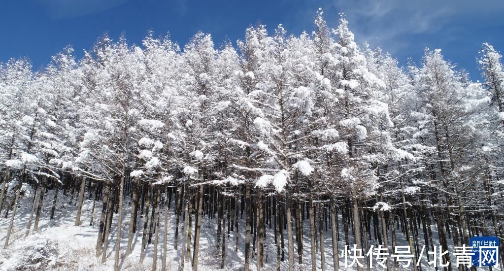 宁夏|雪后六盘山