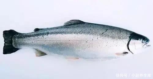 大伟|25岁姑娘卵巢衰老，医生两个恶习，让年轻人生不出孩子