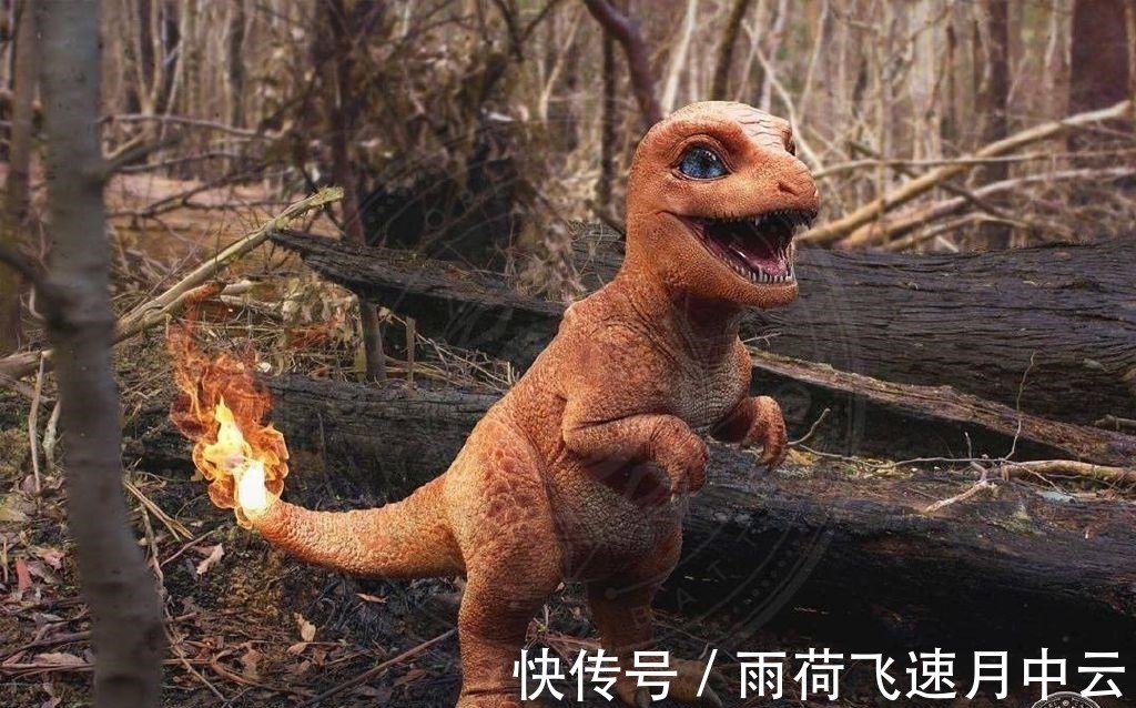 胖丁|精灵宝可梦“真人版”,妙蛙种子神似“蒜头”,还是喷火龙最霸气