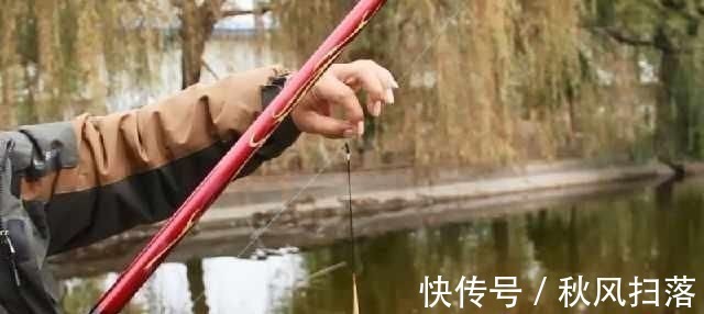 水域|浮漂顶起又落下,提竿却均不中鱼解读3种奇怪漂相不中鱼的原因