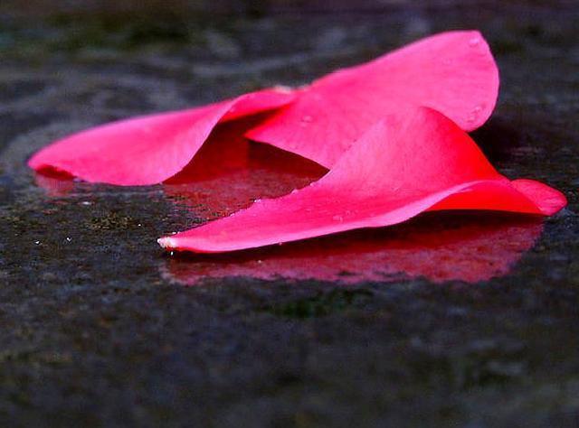 建议|谈恋爱的时候,要不要听父母的建议?从3个层面来分析