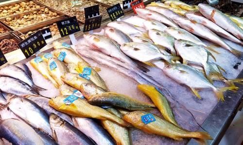 盘子|9月，吃鸡肉鸭肉，不如多吃这鱼，肉多刺少还便宜，人人都吃得起