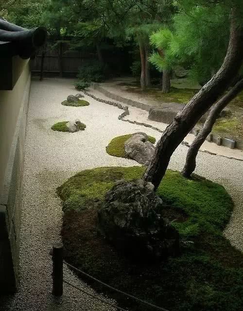 庭院|愿得一庭院，只用来喝茶