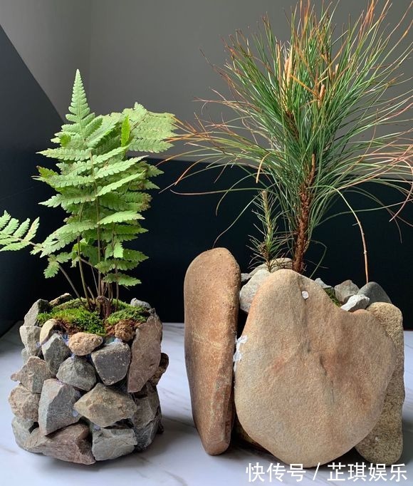 石头野草捡回家,胶水一粘变盆栽,比买的还好看!