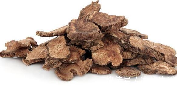 川黄连|脾胃虚寒，百病丛生，补脾是治疗一切疾病的关键