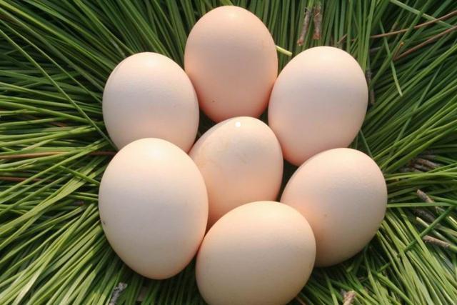 发霉|立刻停止吃以下4种食物,用沸水都不管用,家里有的扔掉