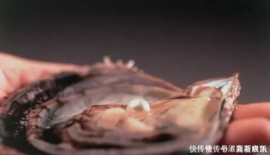 珍珠|亲临MIKIMOTO珠宝基地,揭秘顶级珍珠诞生的背后真相