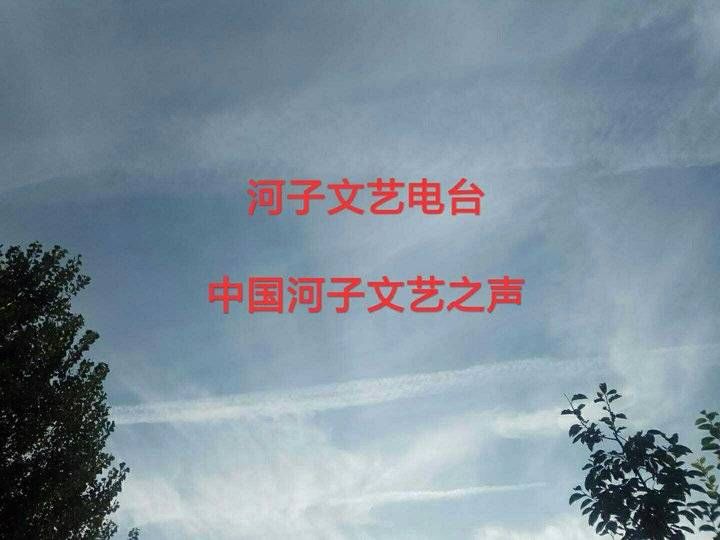 怀思|梅花的心灵阳光的歌声