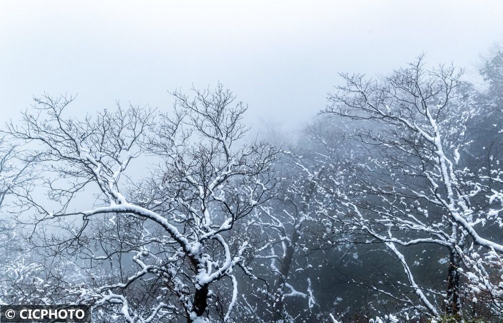 边境|初冬时节雪纷纷