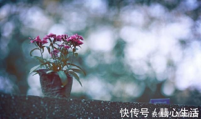 修养!一个人能做到这四点,不富就是贵,一定有伟大的成就