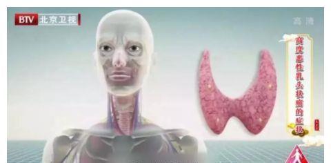 膳食纤维|名老中医推荐的“养生菜”,正确食用,7大好处或不请自来~