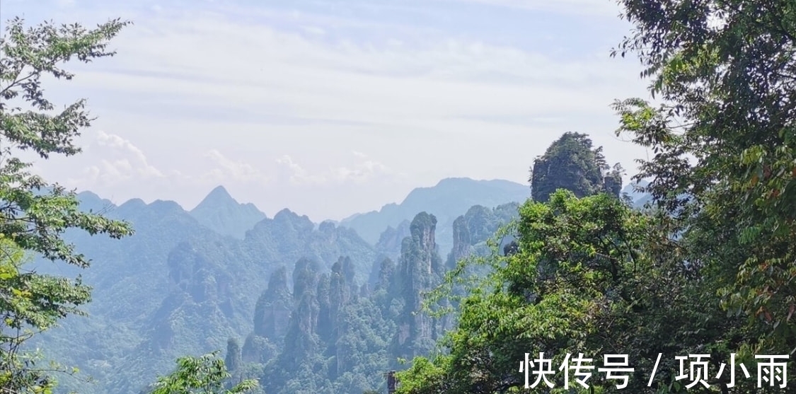 寻隐者不遇#魏野两首描写隐士的诗,清丽淡雅,余韵悠长,值得一读