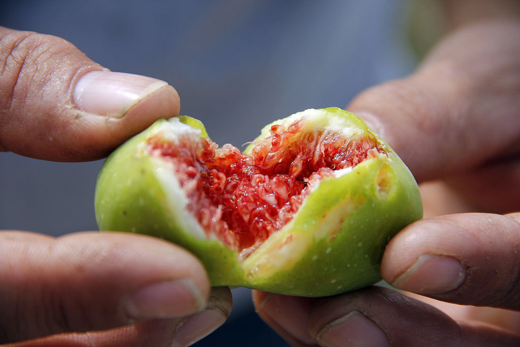 补钙|孩子吃几种补钙水果,长高要从补钙入手,其中一个是“水果钙王”